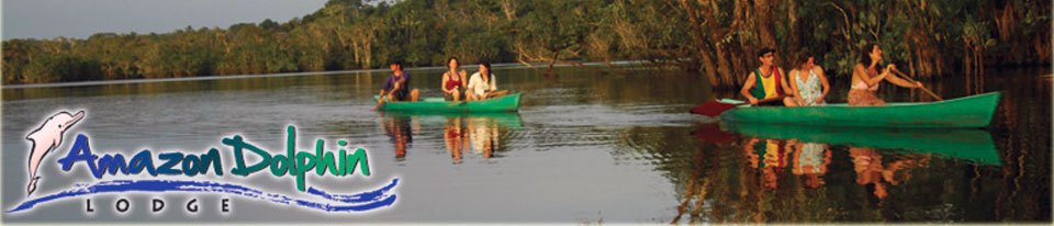 amazon dolphin banner