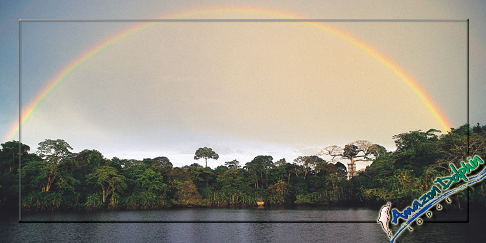 Amazon Dolphin rainbow