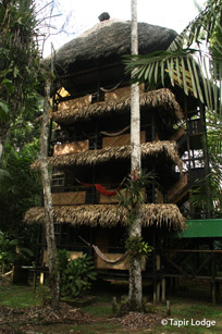Piranha Tower