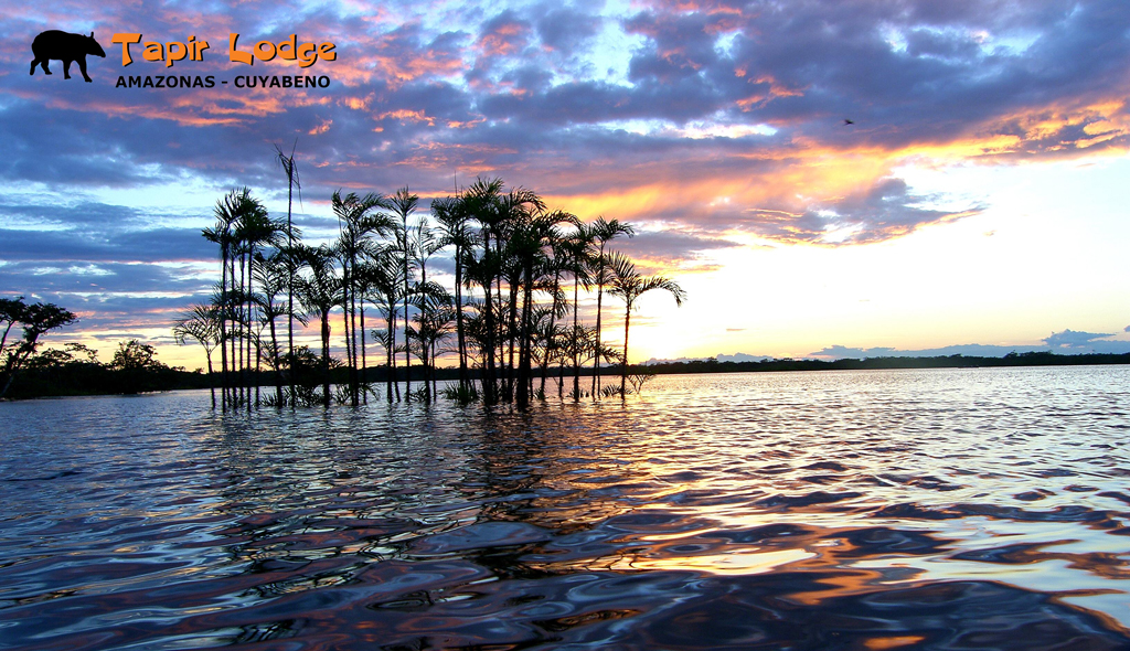 Tapir Sunset