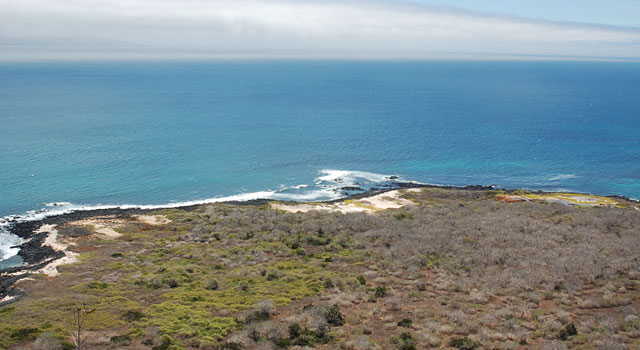 Whale Bay, Galapagos