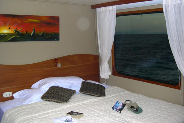 Cabin View Integrity