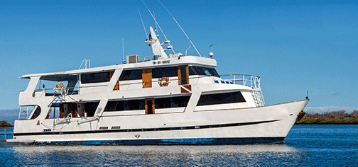 GalaExplorer Starboard 2