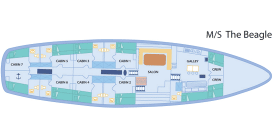 Beagle Deck Plan