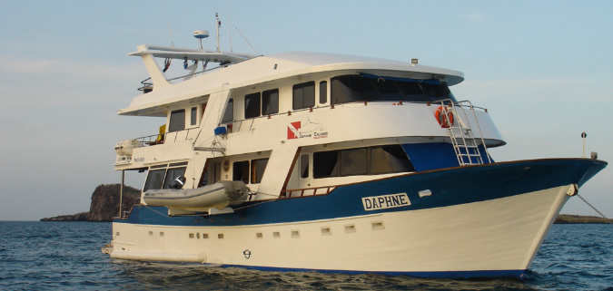 Daphne Starboard Bow