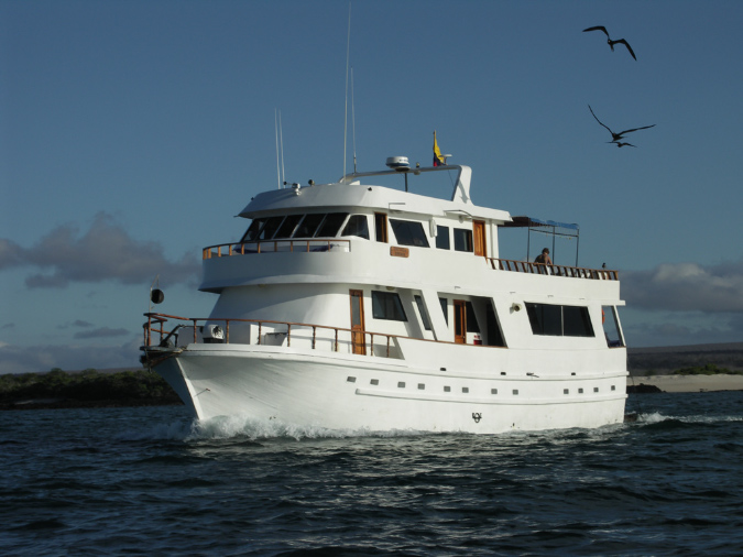 Darwin Tourist Superior