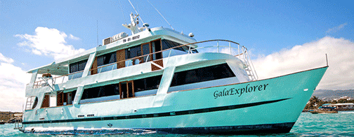GalaExplorer