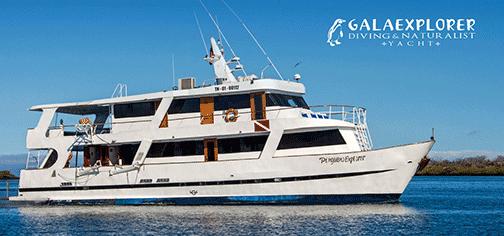 GalaExplorer Starboard 2