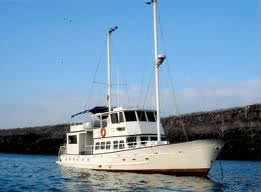 Golondrina Starboard