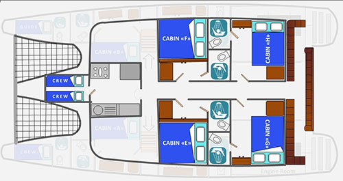 Main Deck Lonesome George
