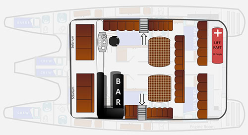 Upper Deck Lonesome George