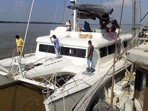 Lonesome George Bow 2