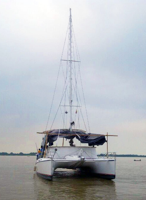 Lonesome George stern