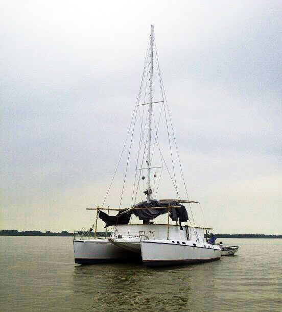 Lonesome George stern 2