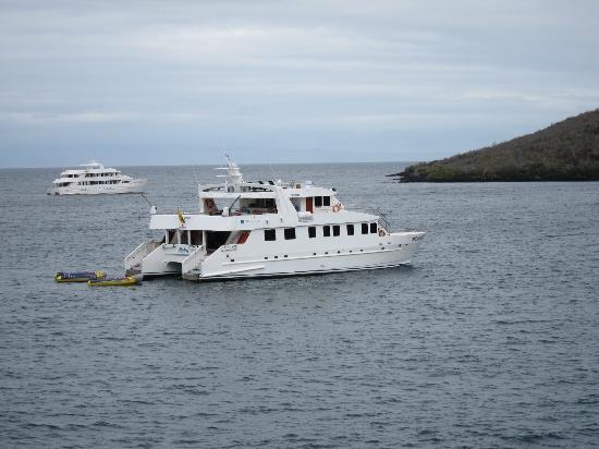 Seaman Journey stern